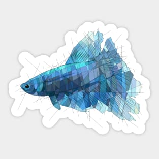 Blue Betta Sticker